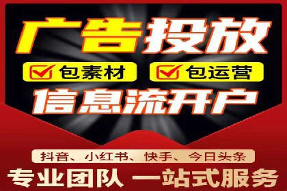 百度竞价与搜索引擎优化（SEO）结合的经典案例